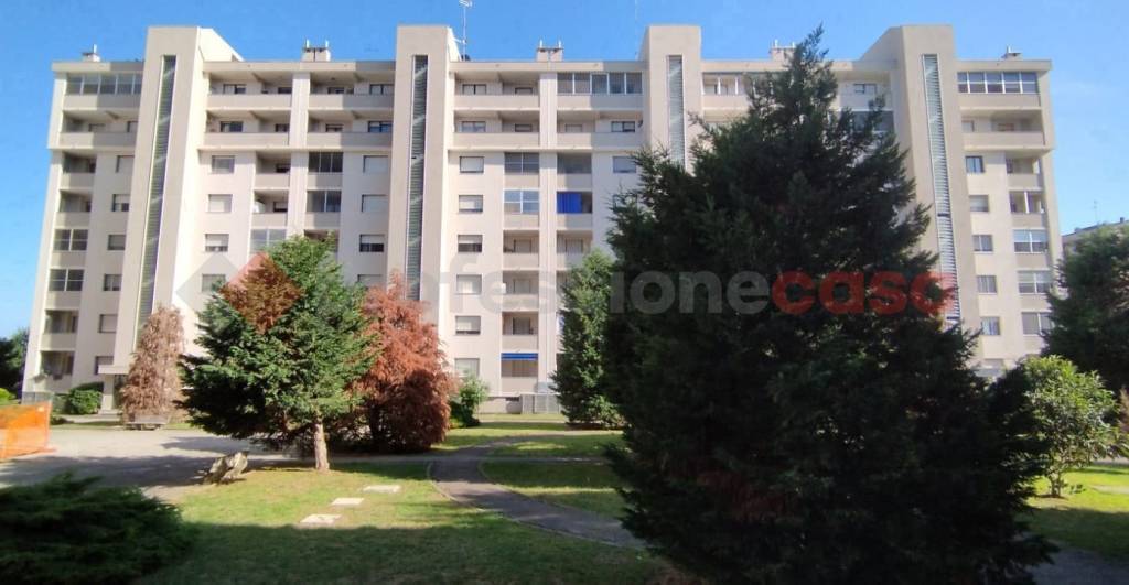 immagine annuncio 5 di 11