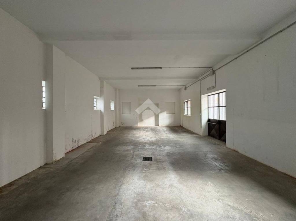 immagine annuncio 3 di 14