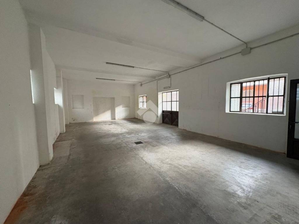 immagine annuncio 4 di 14