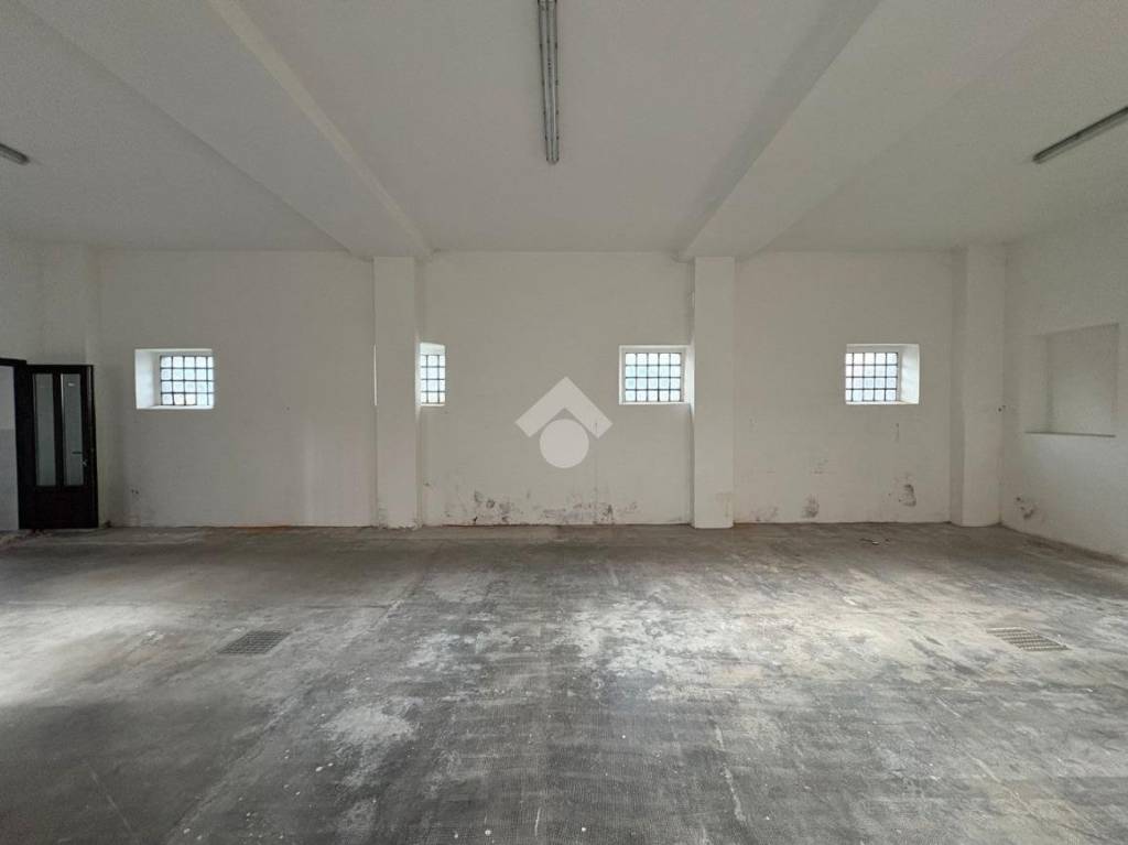 immagine annuncio 5 di 14