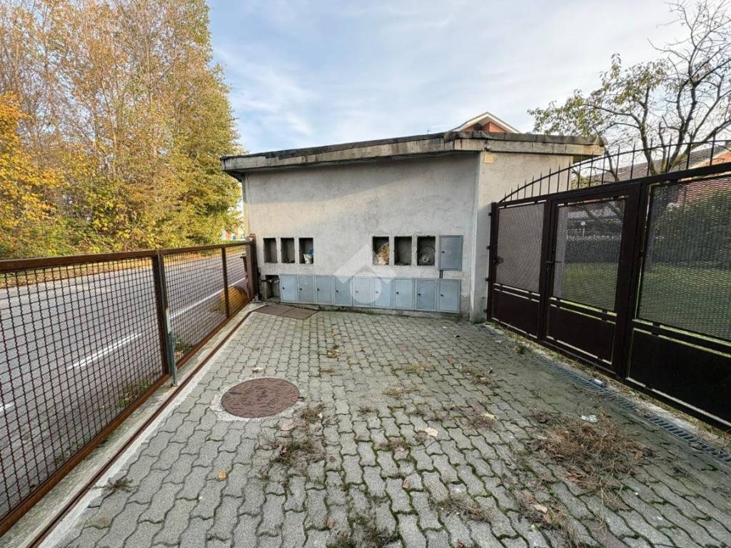 immagine annuncio 12 di 15