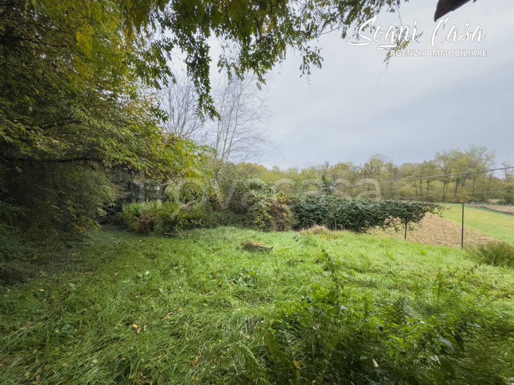 immagine annuncio 7 di 14