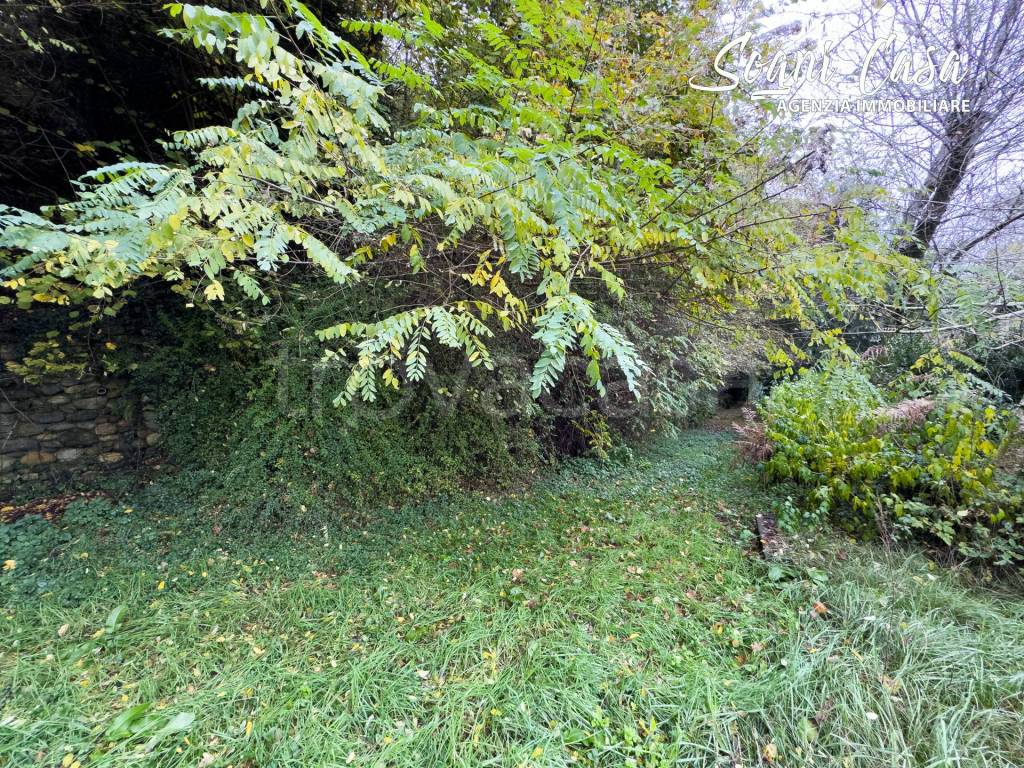 immagine annuncio 12 di 14