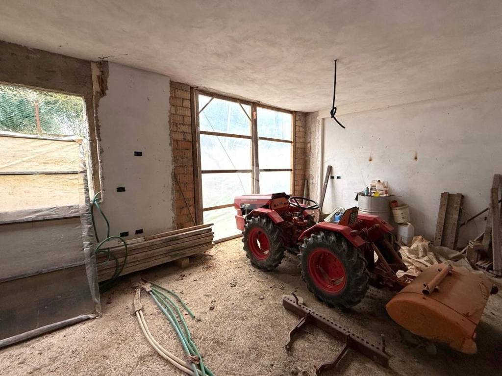 immagine annuncio 6 di 8