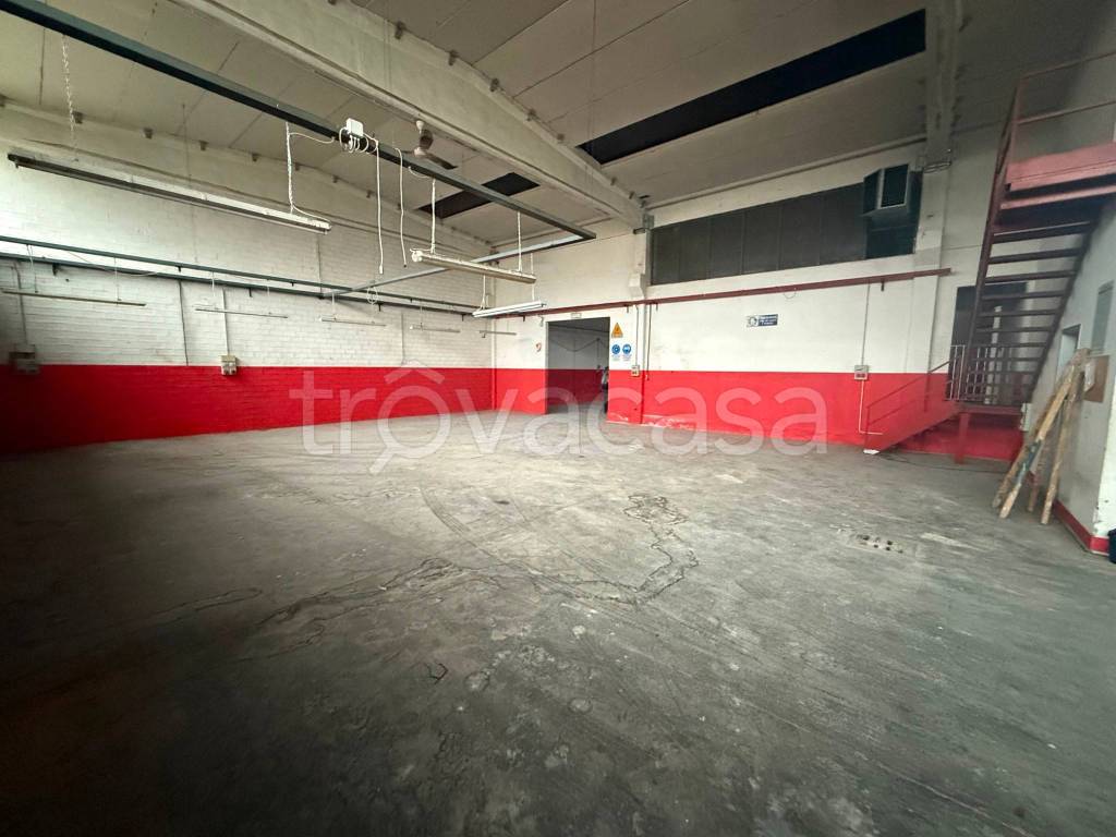 immagine annuncio 9 di 15