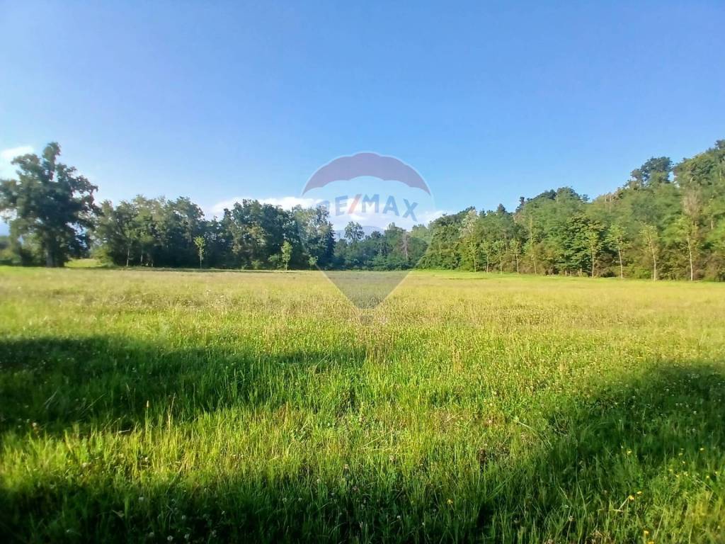 immagine annuncio 4 di 13