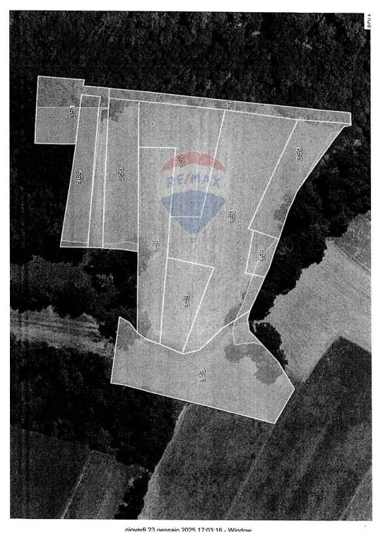 immagine annuncio 11 di 13