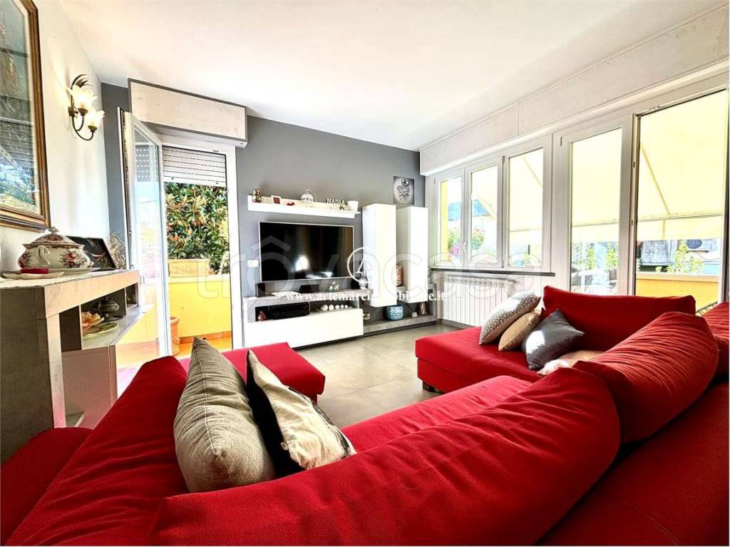 immagine annuncio 5 di 15