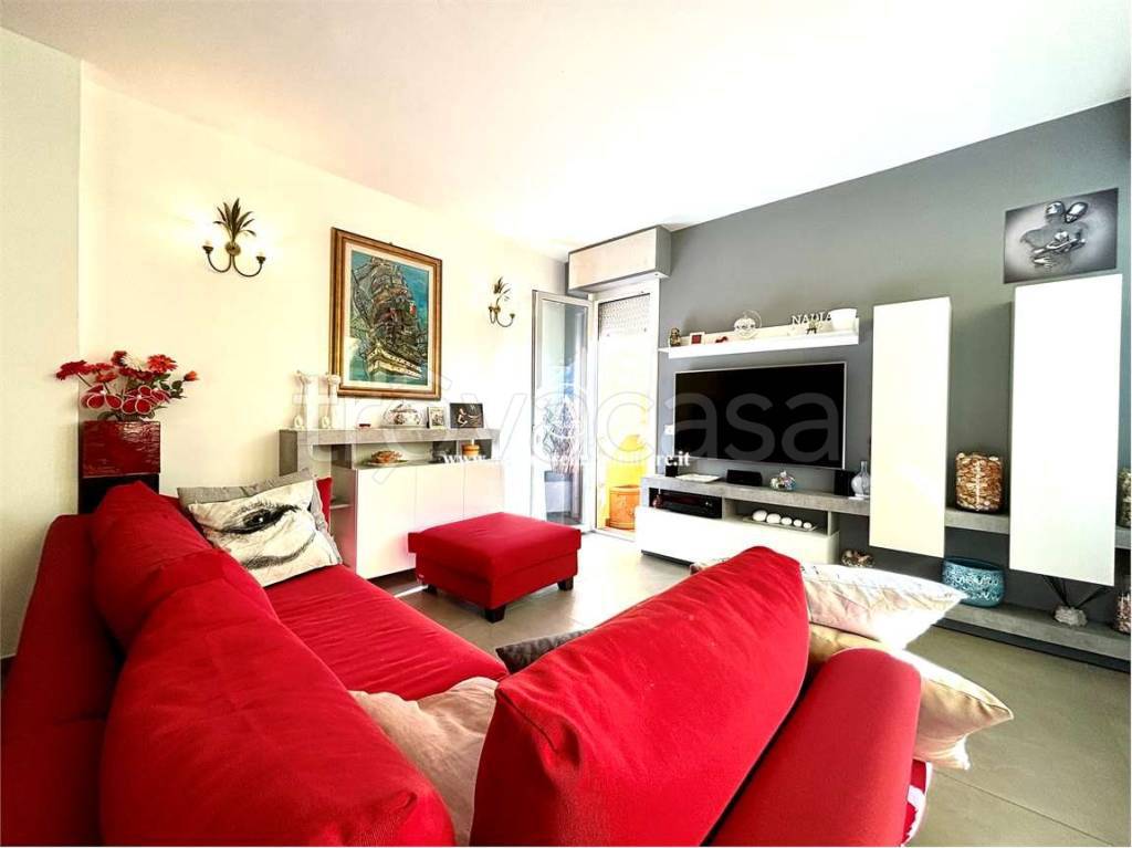 immagine annuncio 9 di 15