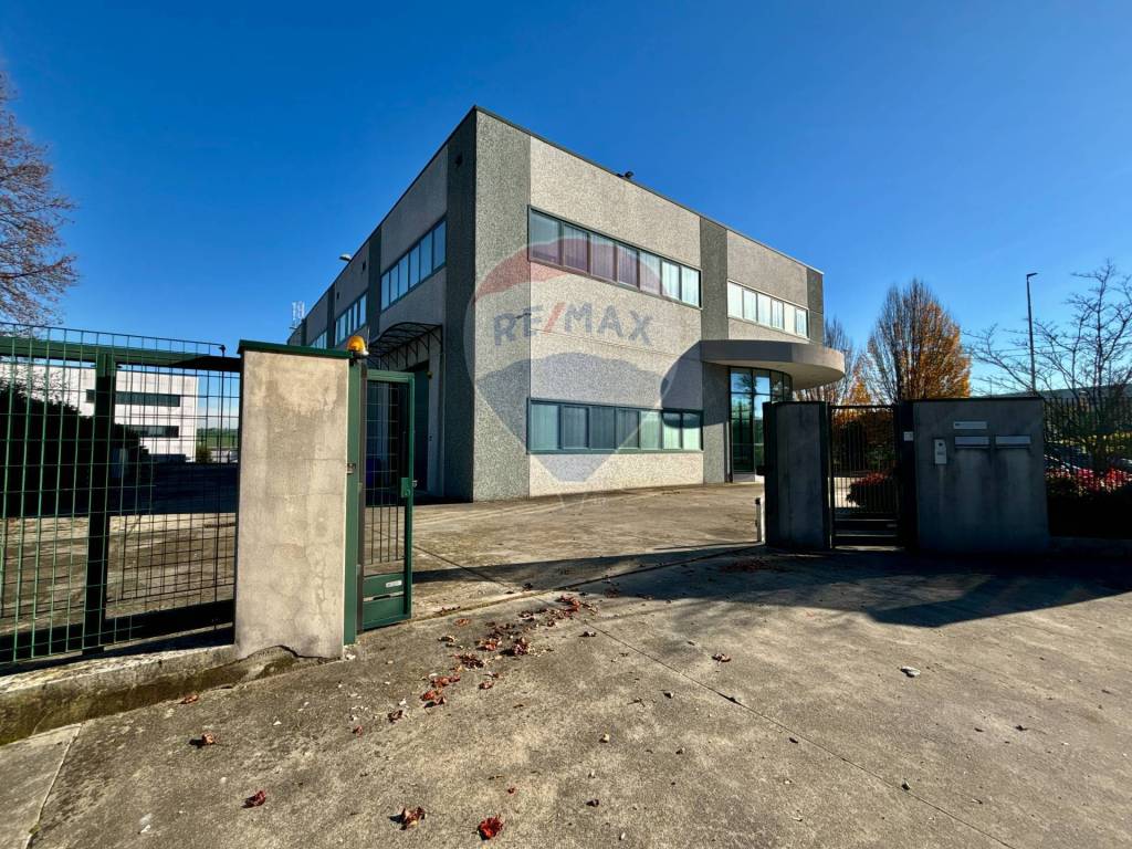 immagine annuncio 11 di 15