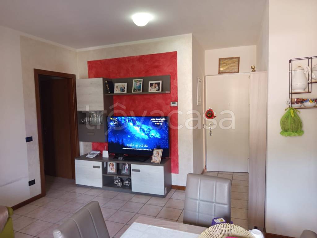 immagine annuncio 3 di 13