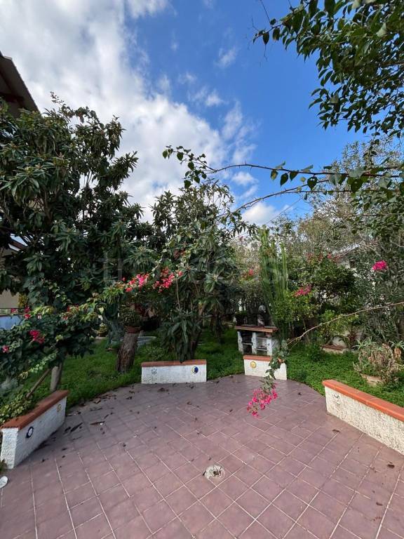 immagine annuncio 10 di 12