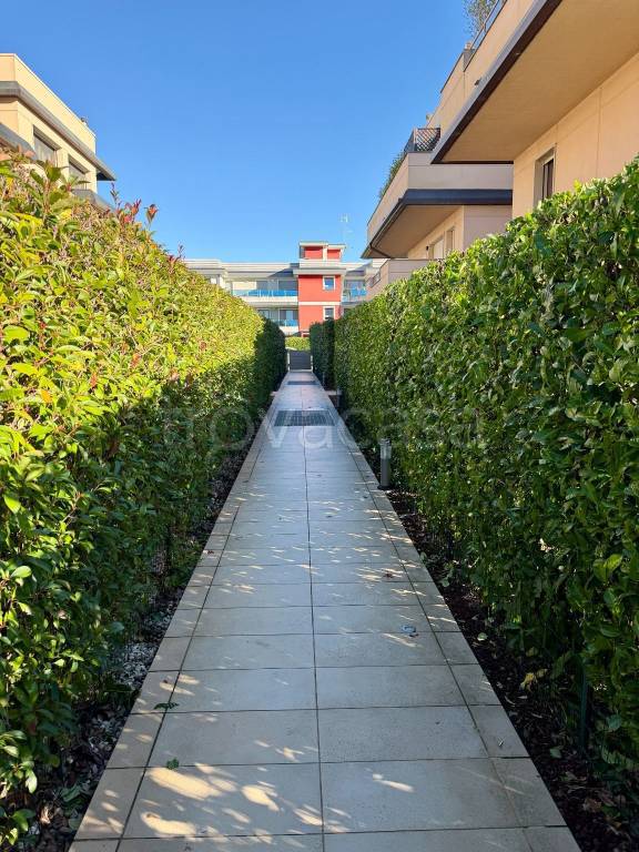 immagine annuncio 1 di 14