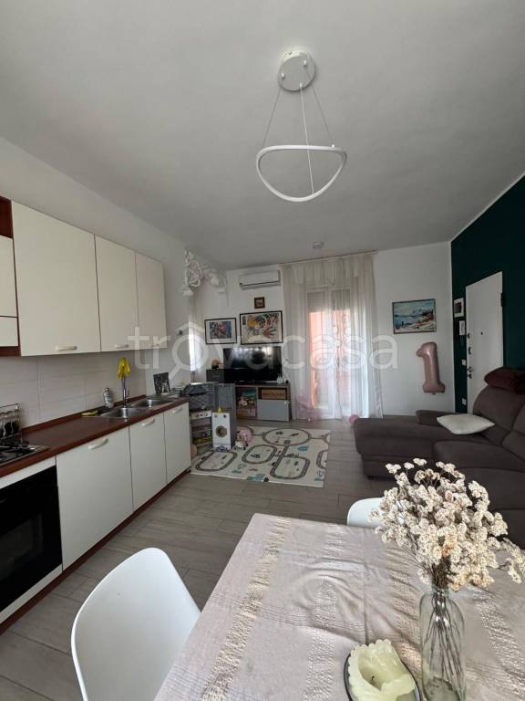 immagine annuncio 2 di 14