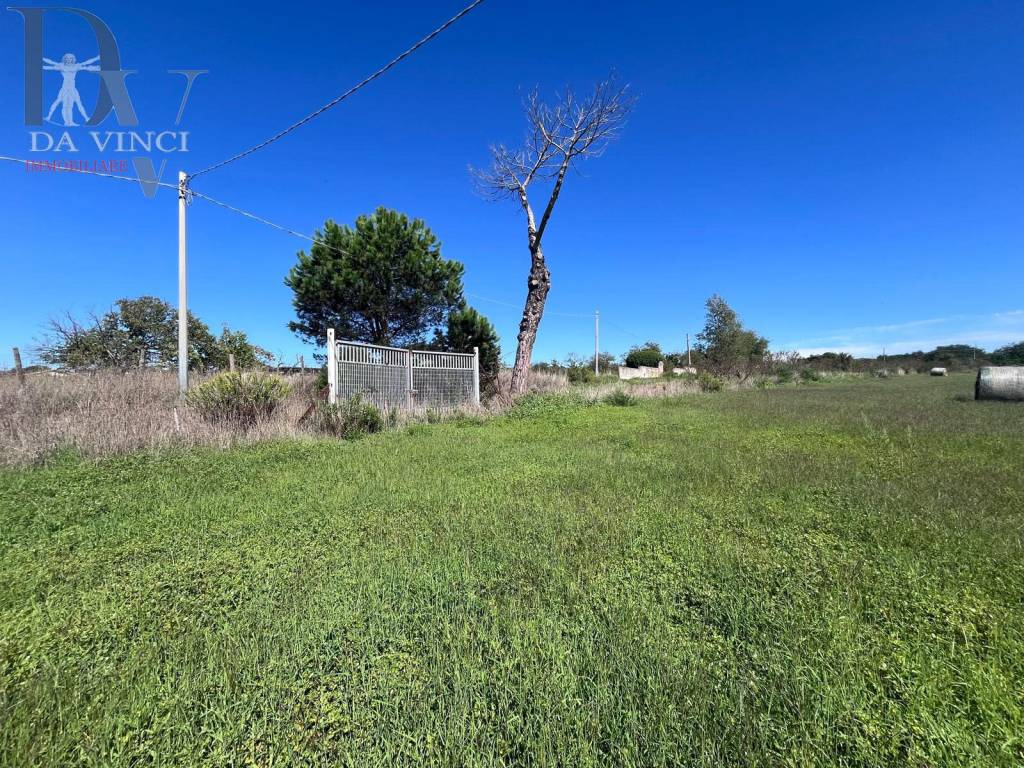 immagine annuncio 6 di 9