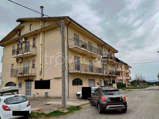 immagine annuncio 8 di 11