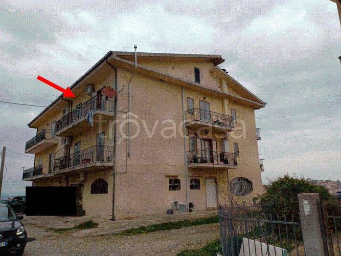 immagine annuncio 10 di 11