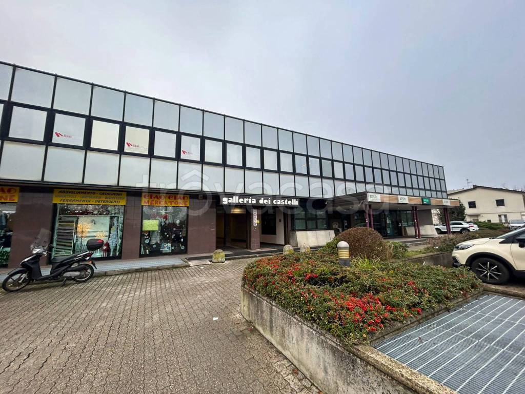 immagine annuncio 3 di 14