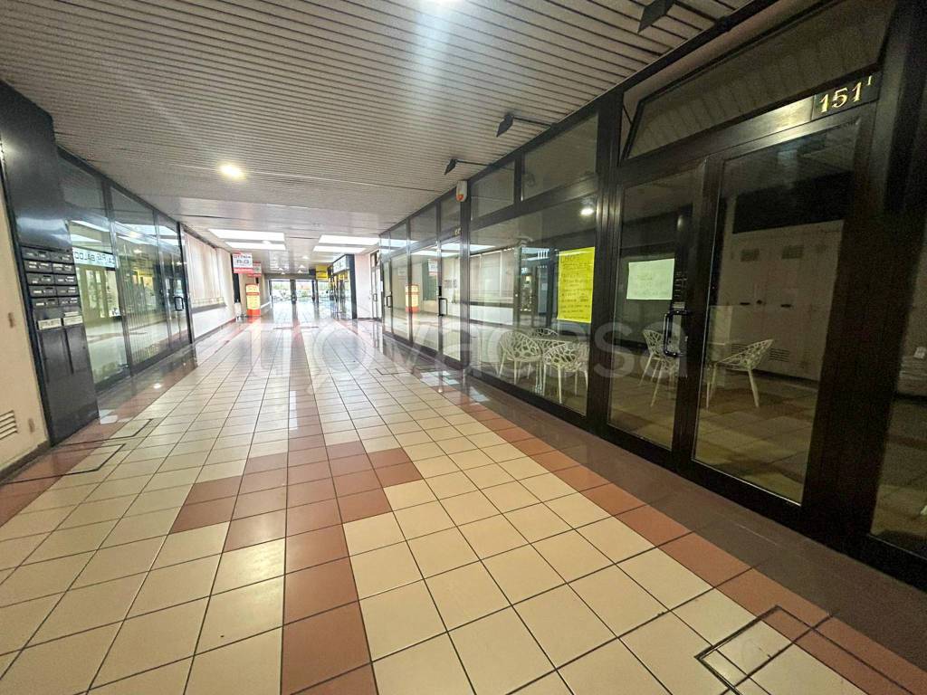 immagine annuncio 4 di 14