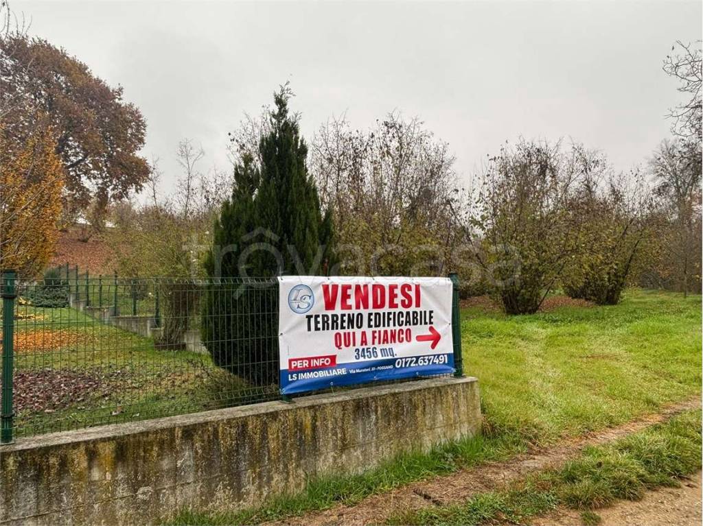 immagine annuncio 4 di 12