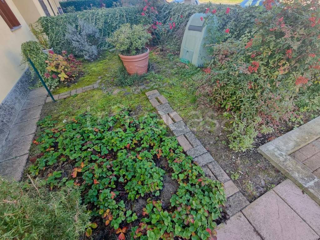 immagine annuncio 11 di 13