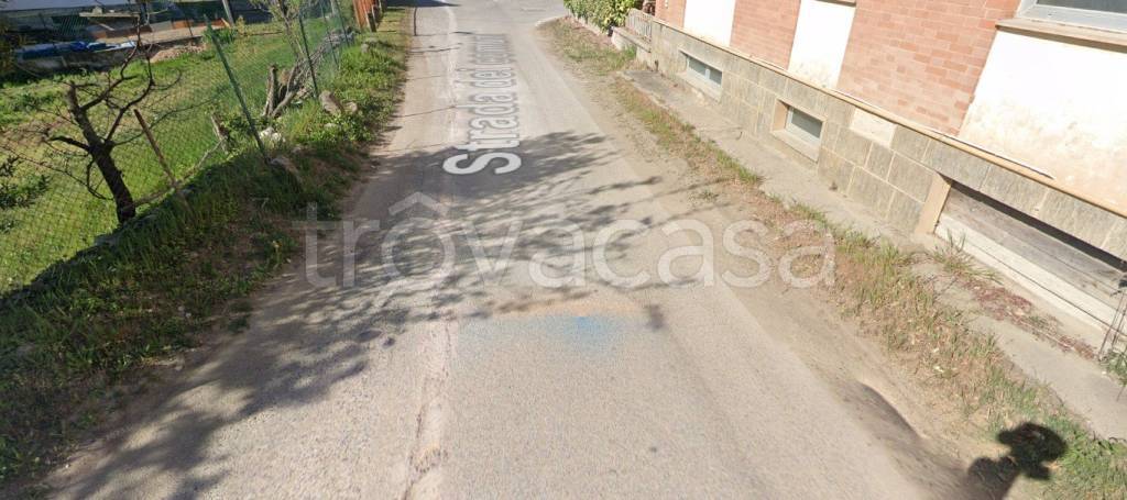 immagine annuncio 10 di 13