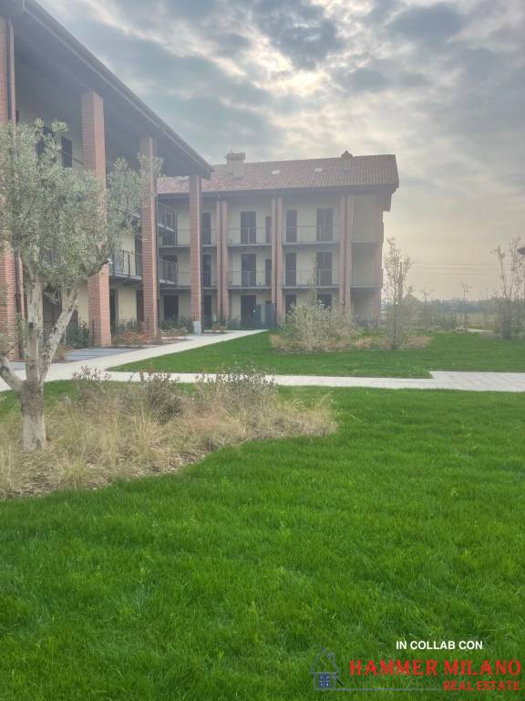 immagine annuncio 3 di 10