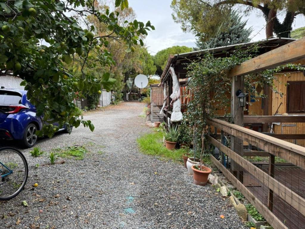 immagine annuncio 2 di 14