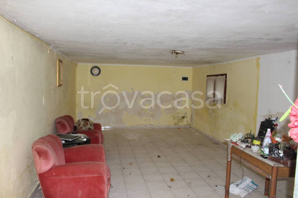 immagine annuncio 10 di 14