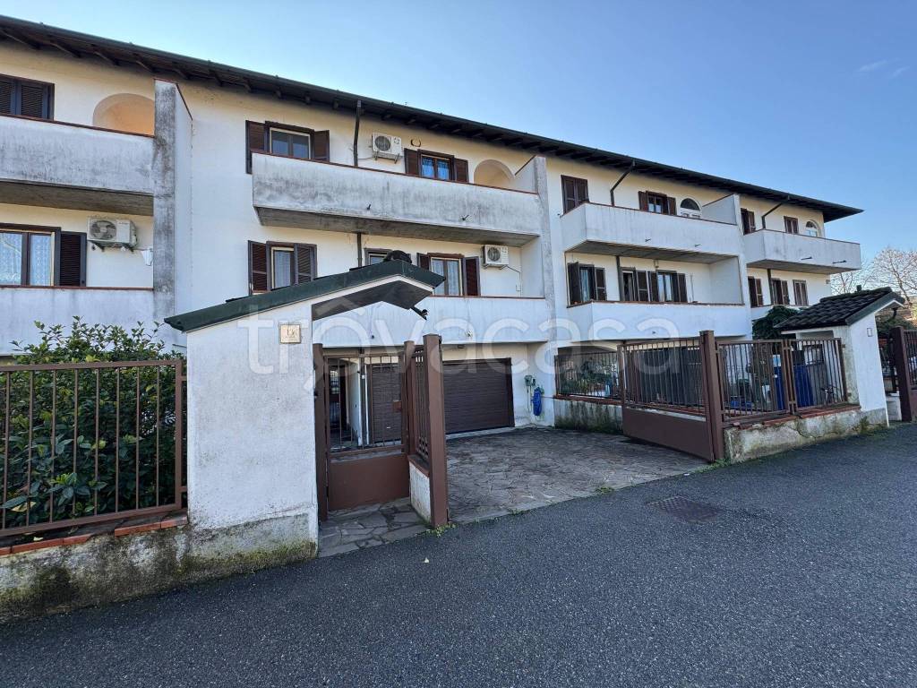 immagine annuncio 2 di 15