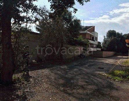 immagine annuncio 8 di 11