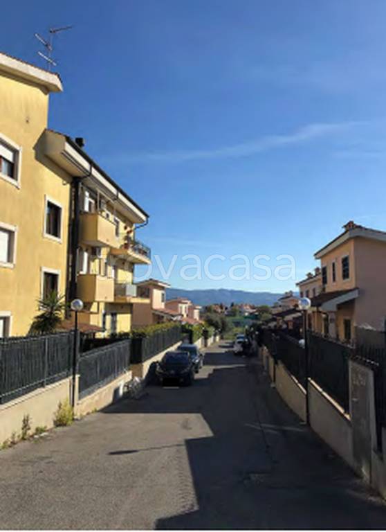 immagine annuncio 5 di 12