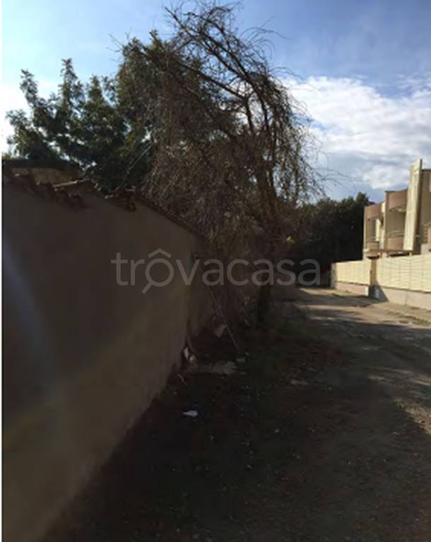 immagine annuncio 8 di 12