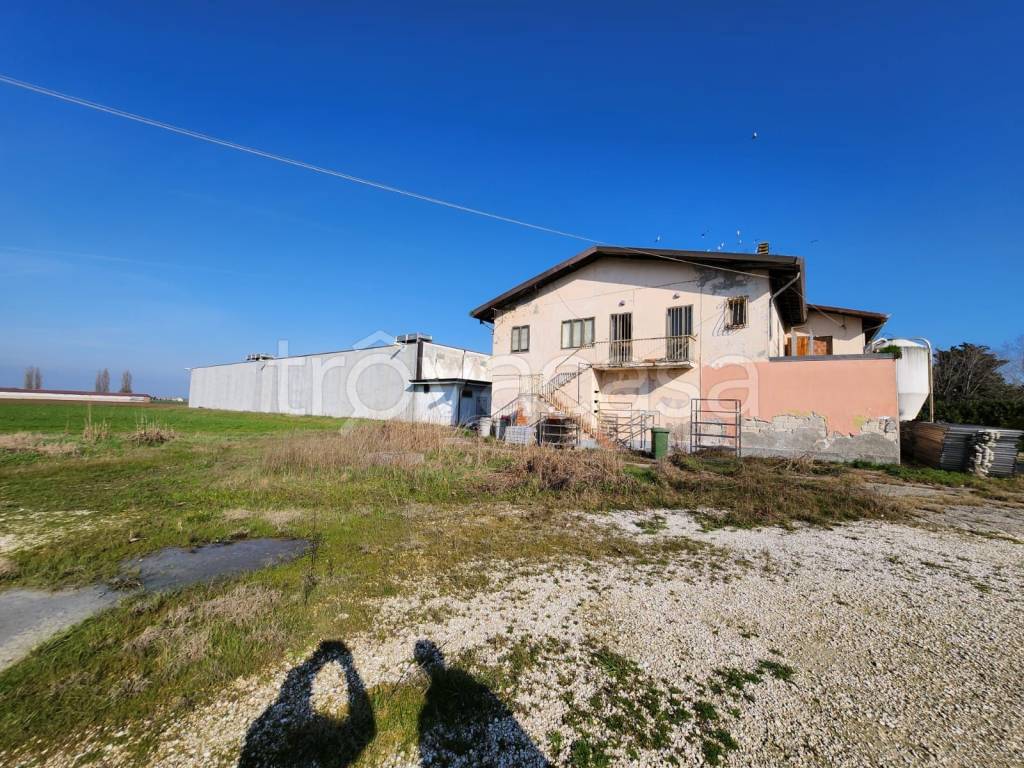 immagine annuncio 2 di 7