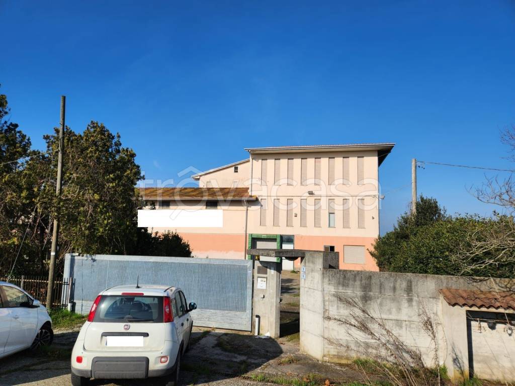 immagine annuncio 3 di 7