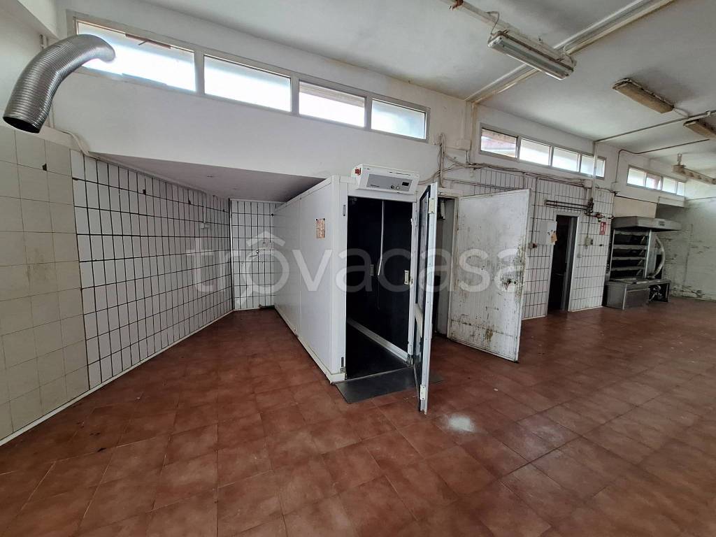 immagine annuncio 4 di 8