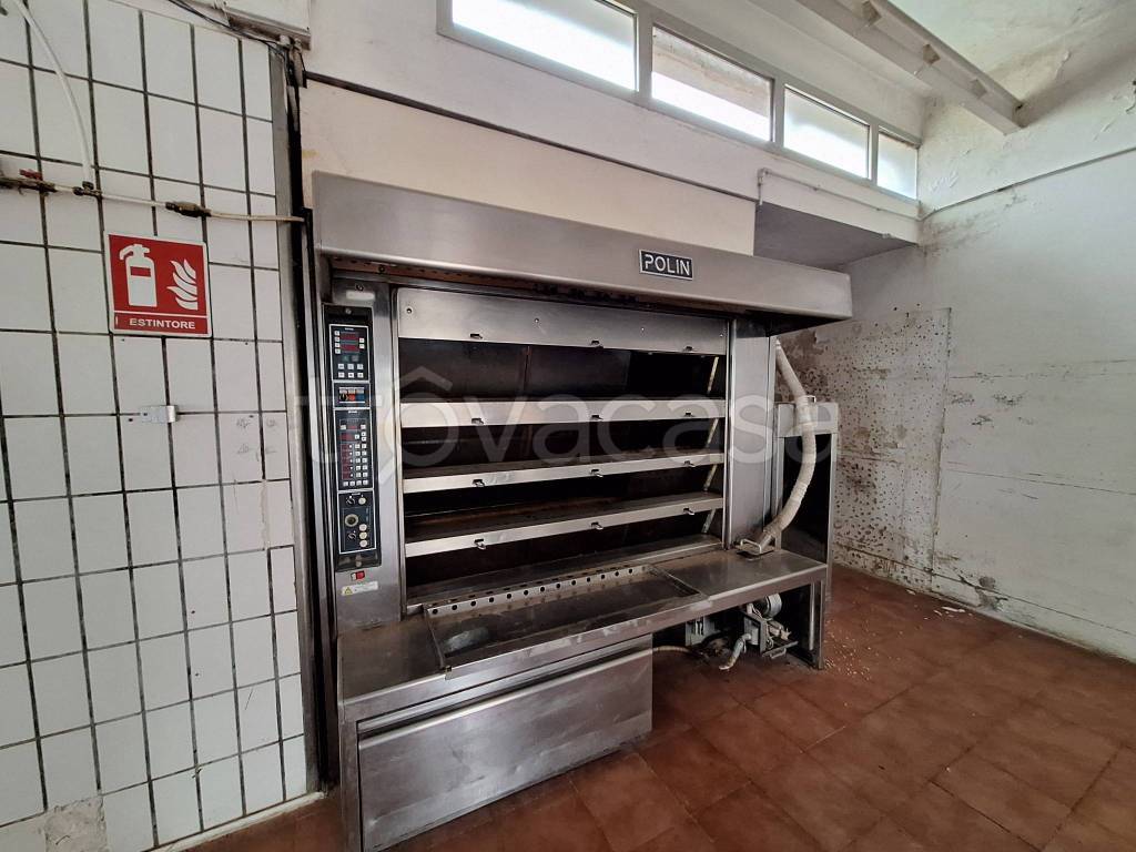 immagine annuncio 5 di 8