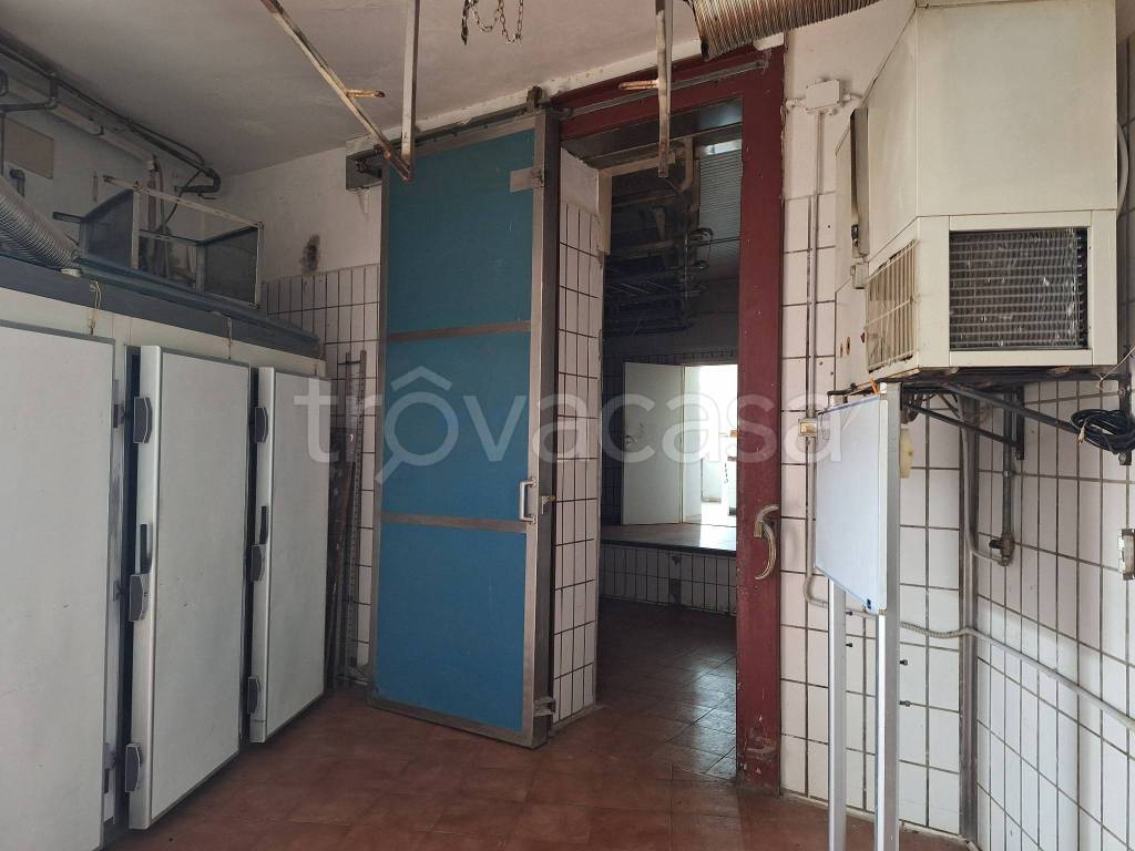 immagine annuncio 7 di 8