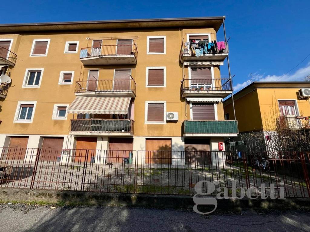 immagine annuncio 11 di 15