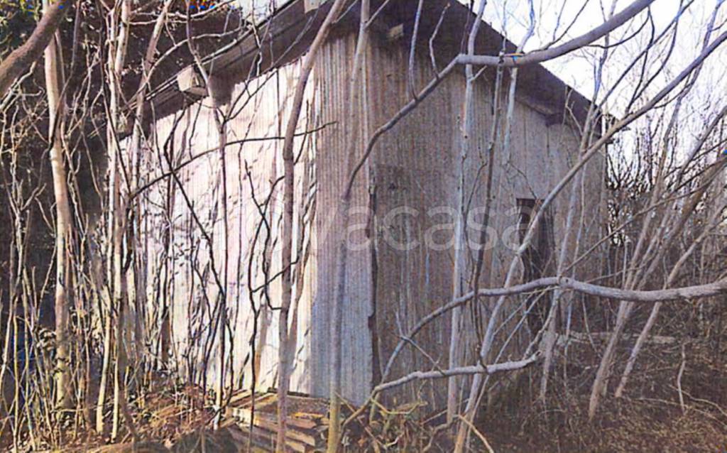 immagine annuncio 1 di 9