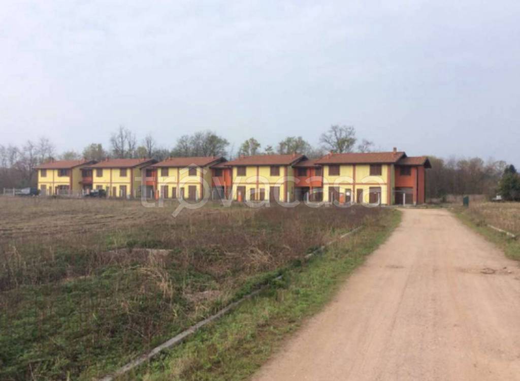 immagine annuncio 9 di 12