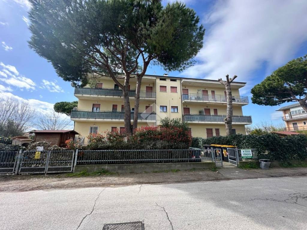 immagine annuncio 10 di 15