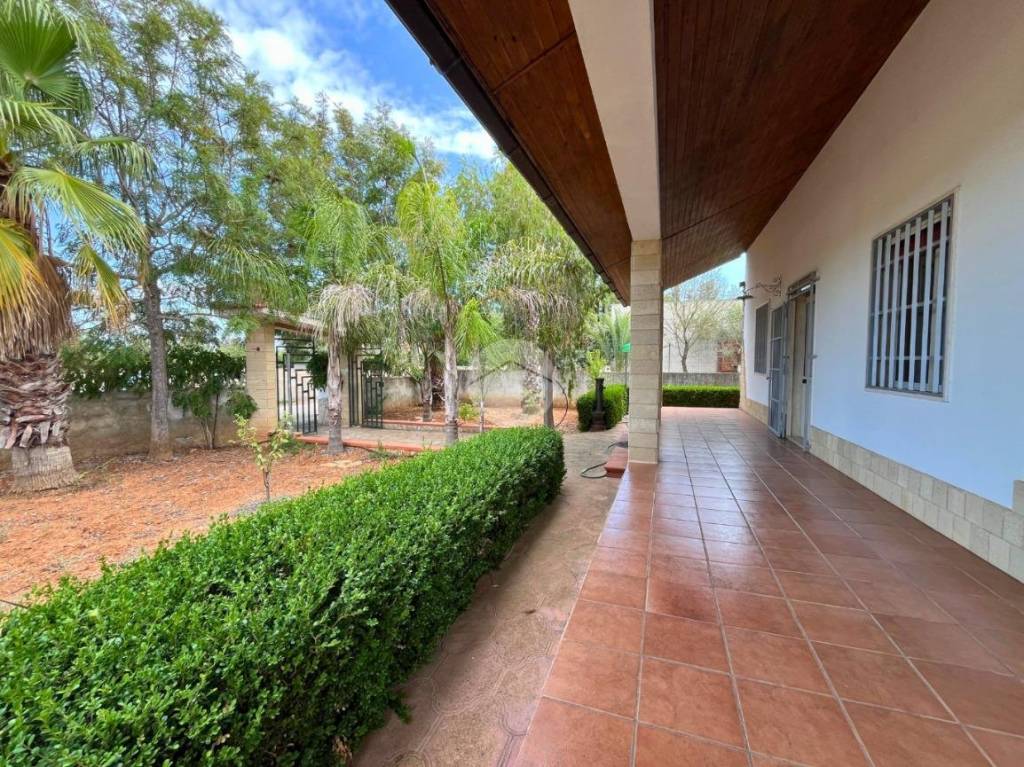 immagine annuncio 3 di 14