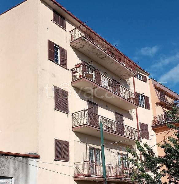 immagine annuncio 9 di 12