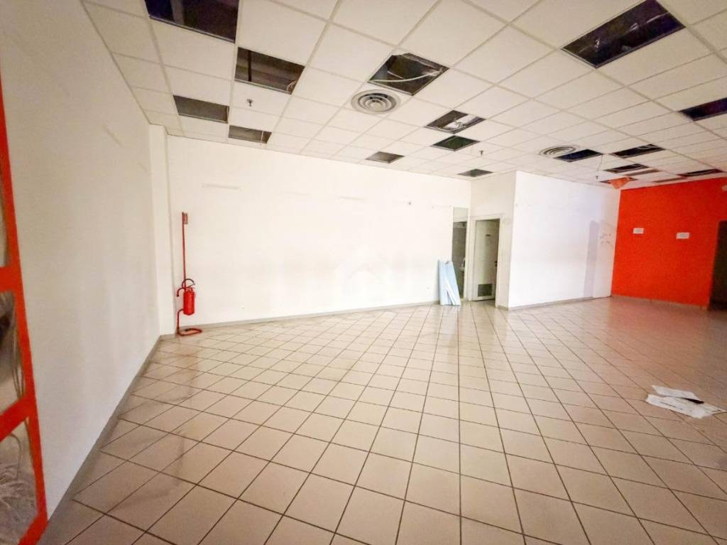 immagine annuncio 7 di 13