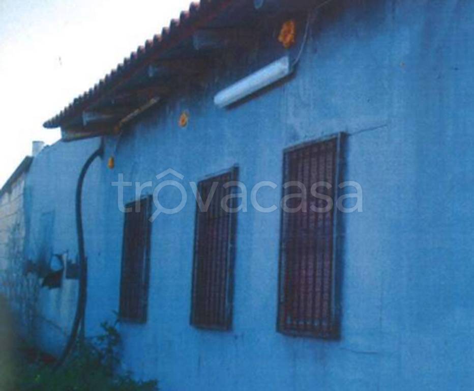 immagine annuncio 2 di 12