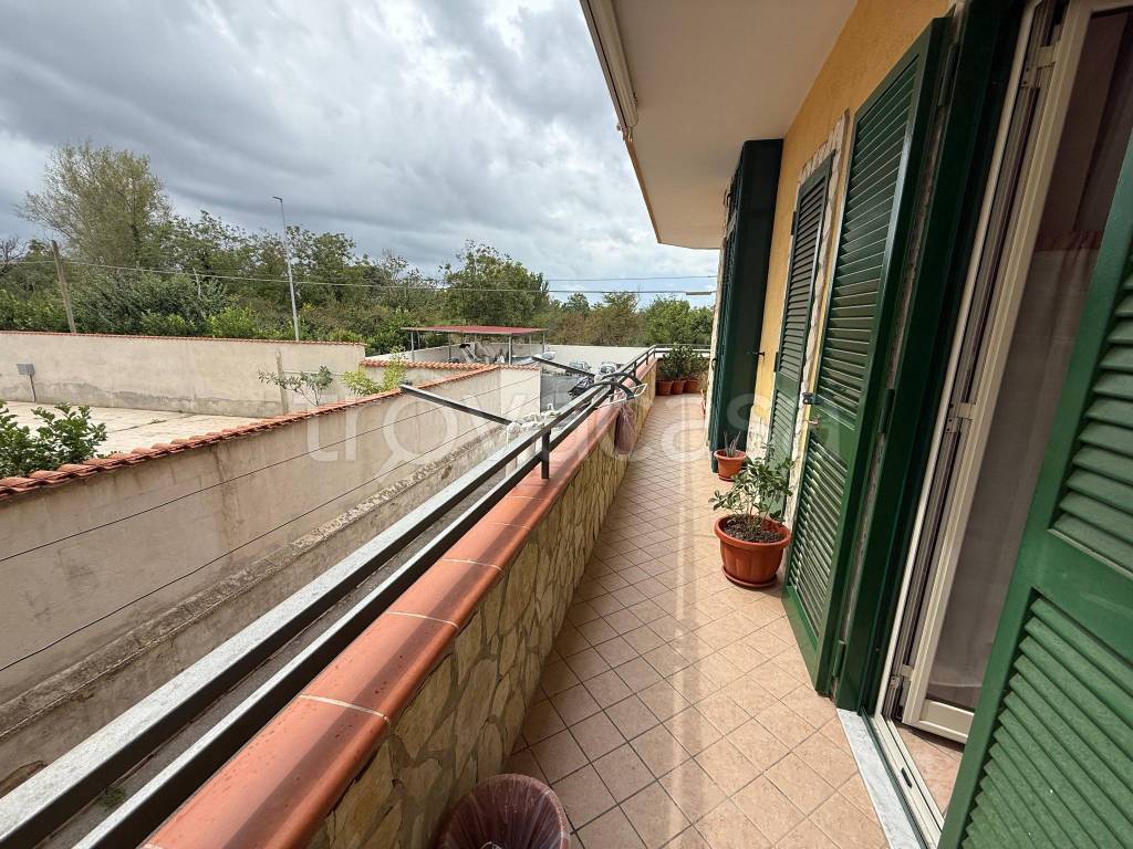 immagine annuncio 11 di 13