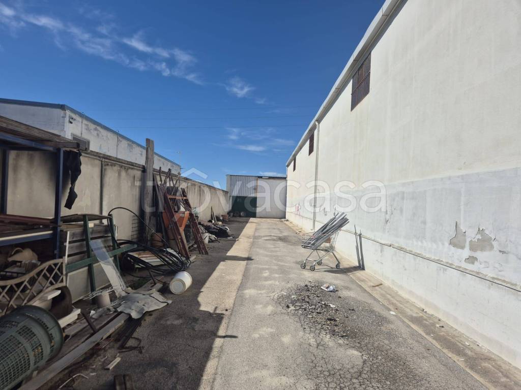 immagine annuncio 2 di 9