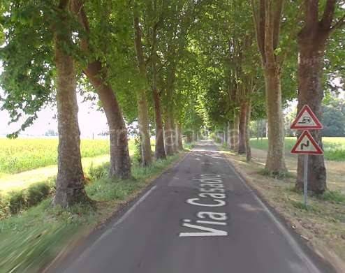 immagine annuncio 10 di 15