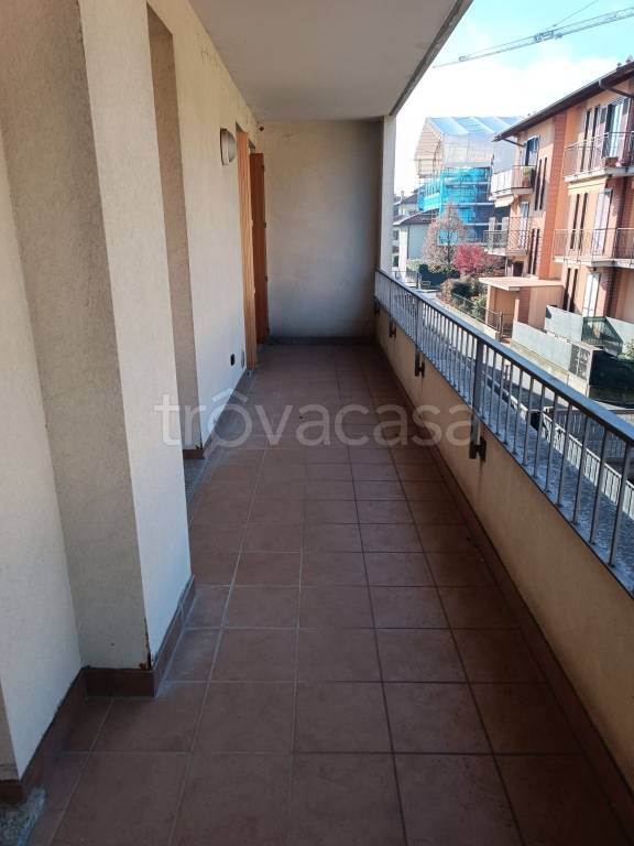 immagine annuncio 5 di 14